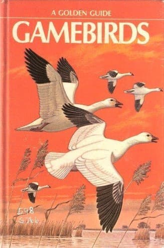 Cover of Gamebirds, a Golden Guide: snow geese flying over marsh reeds against an orange sky